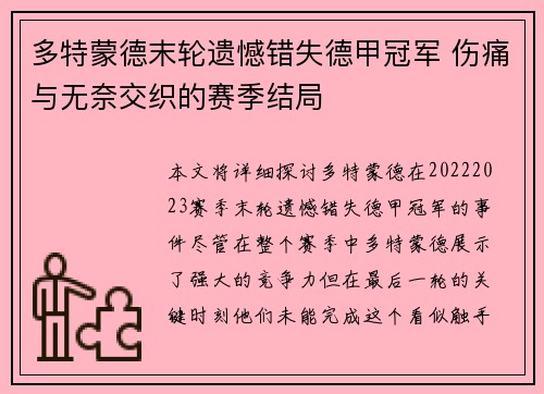 多特蒙德末轮遗憾错失德甲冠军 伤痛与无奈交织的赛季结局